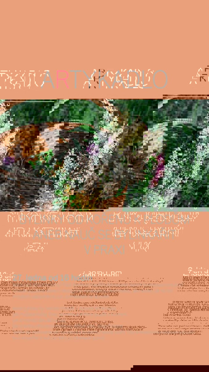 Model.Name: 2025 01 27 Holice Artykadlo Bylinky