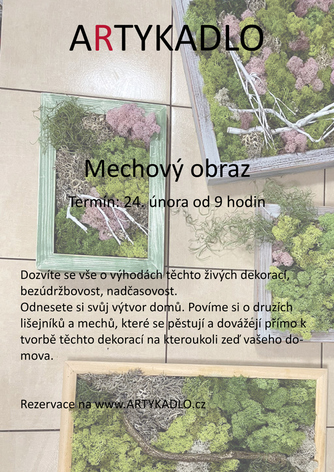 Model.Name: 2024 02 24 Holice Artykadlo Mechovy Obraz