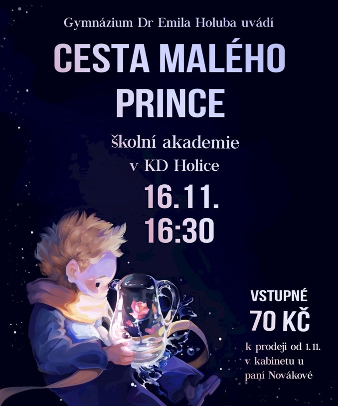 Model.Name: Akademie Gymnázium