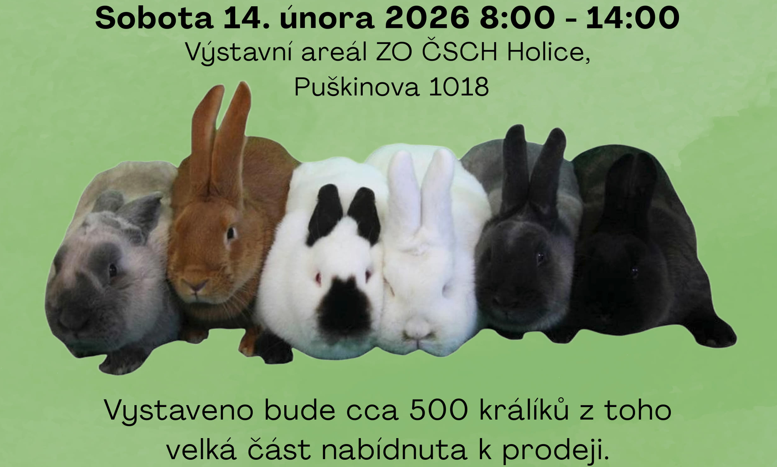 34. Mistrovství klubu masných plemen králíků