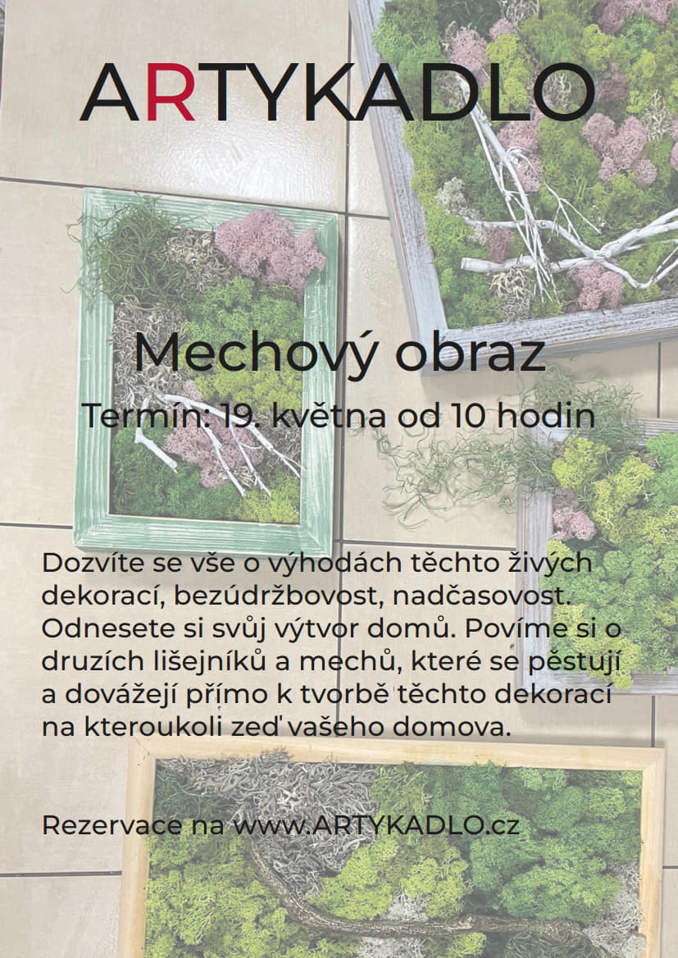 Model.Name: 2024 05 19 Holice Artykadlo Mechovy Obraz