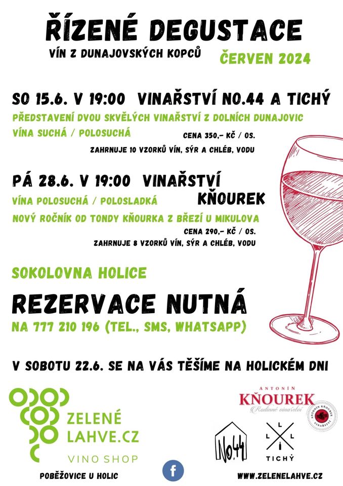 Model.Name: 2024 06 15 Holice Degustace Vina (1)