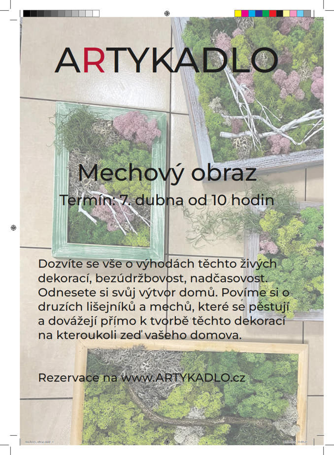 Model.Name: 2024 04 07 Holice Artykadlo Mechovy Obraz