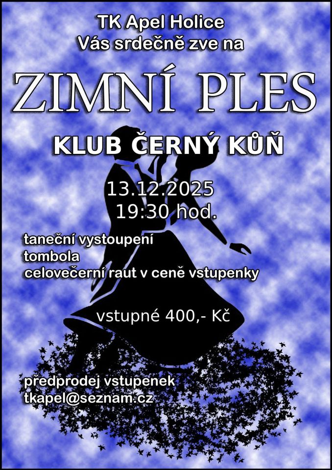 Model.Name: 2025 12 13 IC Zimní Ples