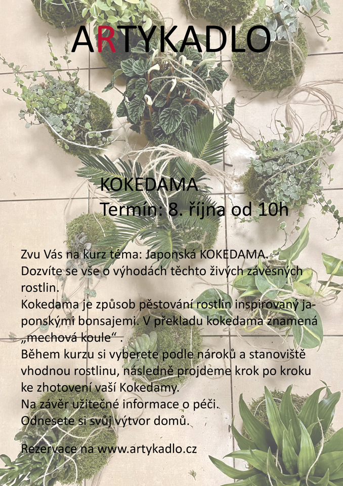 Model.Name: 20231008 Holice Artykadlo Kokedama