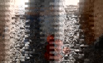 Vajíčka poštolek ve věži kostela sv. Martina – rok 2020