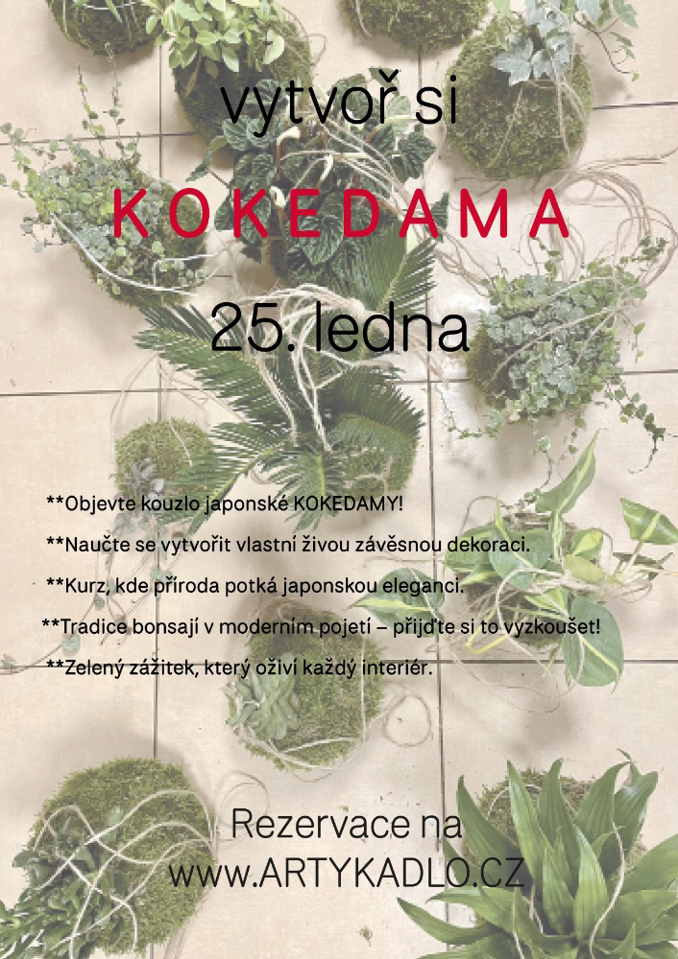 Model.Name: 2026 01 25 Holice Artykadlo Kokedama