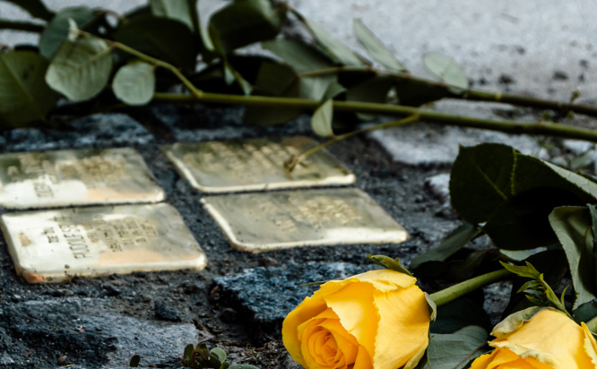 Zobrazit obrázek: DSC 0153