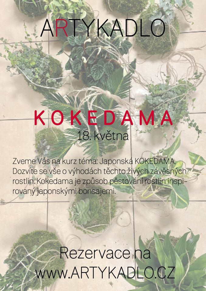 Model.Name: 2025 05 18 Holice Artykadlo Kokedama