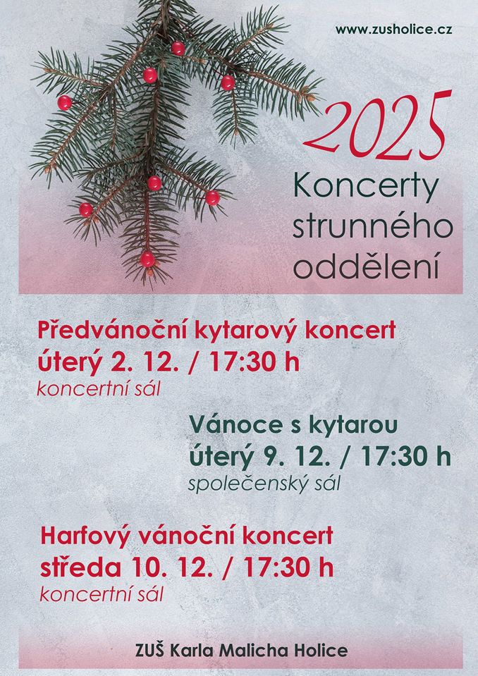 Model.Name: 2025 12 02 IC Koncerty Strunného Oddělení Předvánoční Kytarový Koncert (1)