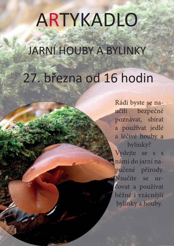 Model.Name: 2024 03 27 Holice Artykadlo Jarni Houby A Bylinky